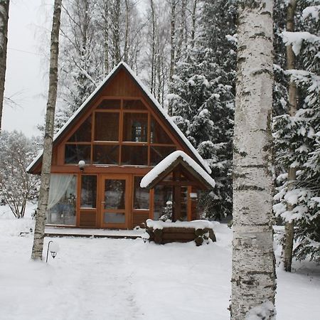 Holiday Home Berzlejas Upesgriva ห้อง รูปภาพ