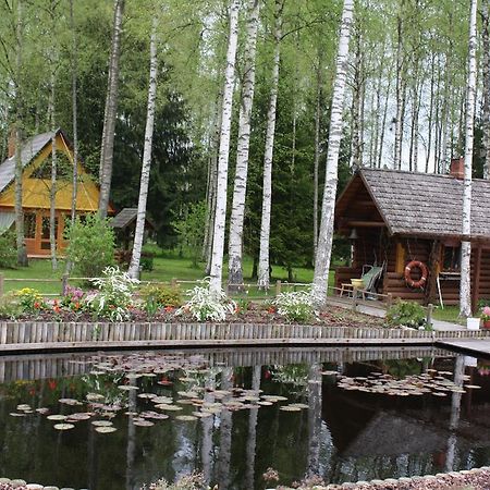 Holiday Home Berzlejas Upesgriva ภายนอก รูปภาพ