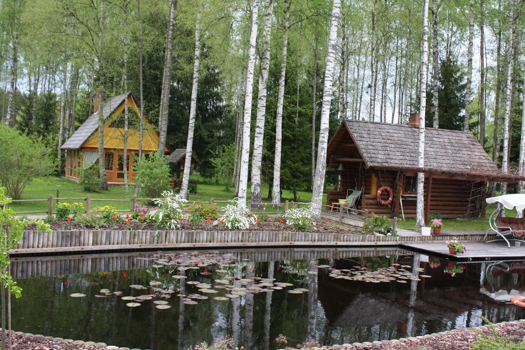 Holiday Home Berzlejas Upesgriva ภายนอก รูปภาพ
